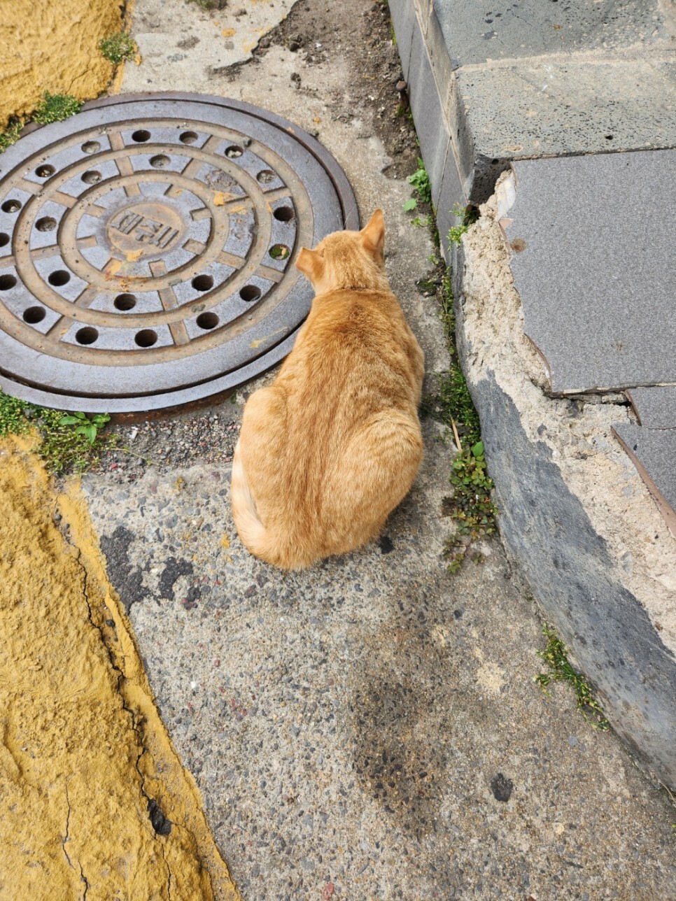 소담베이커리 이미지
