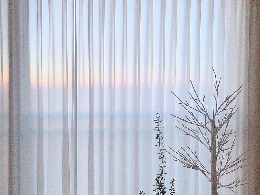 자작나무와 함께 화이트 크리스마스 준비 14