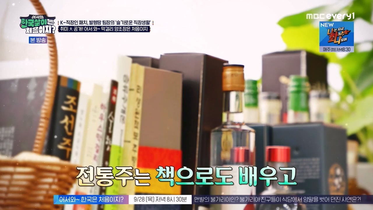 어서와 한국살이는 처음이지.E19.230926p-NEXT.mp4_20230926_205102.946.jpg
