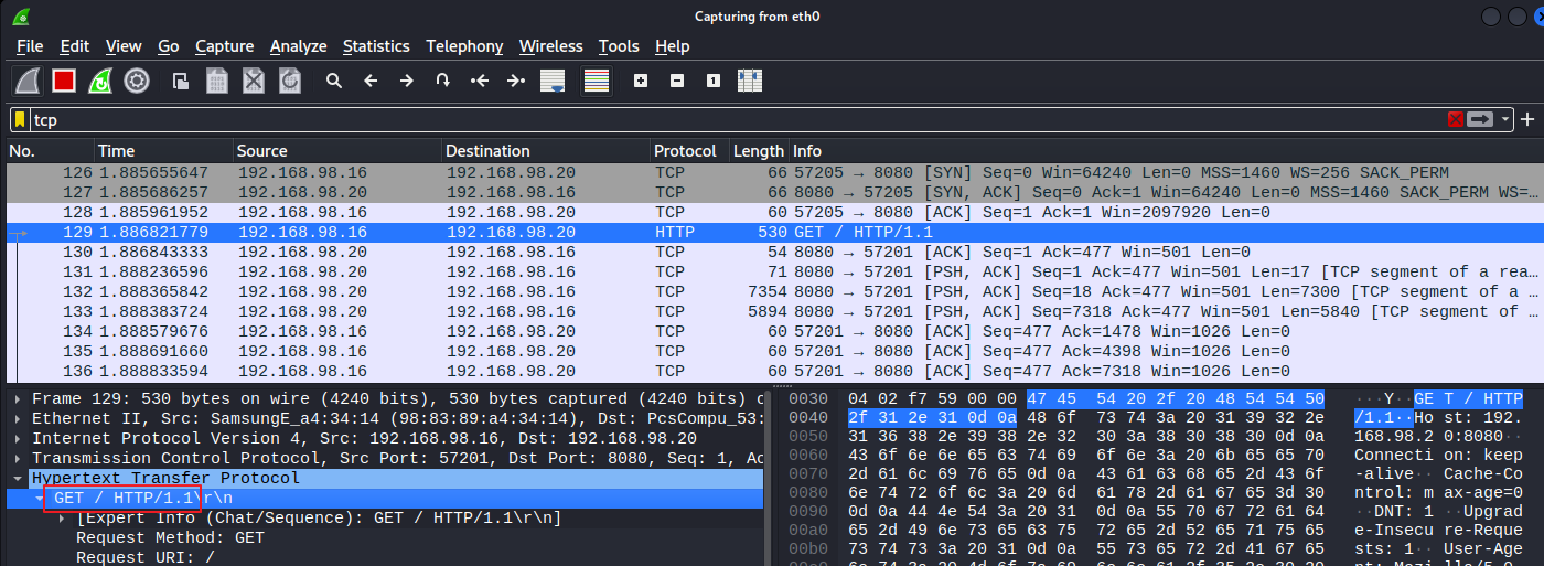 wireshark - websnort 접속 패킷 확인