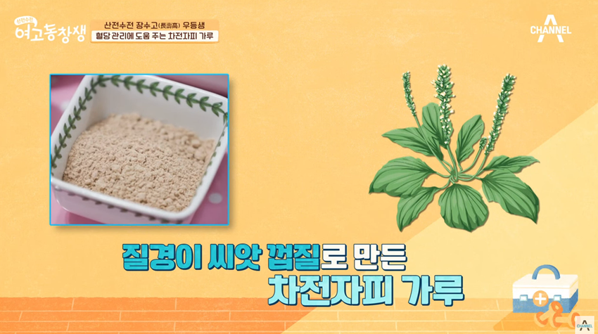 변비에 좋은 음식 차전자피 효능과 부작용, 먹는법