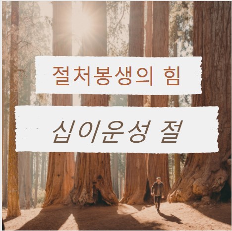  절처봉생의 힘, 십이운성 절