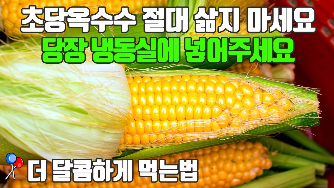초당 이미지