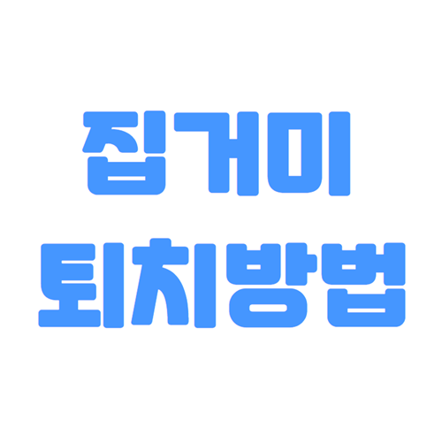  집거미 퇴치 효과적인 방법