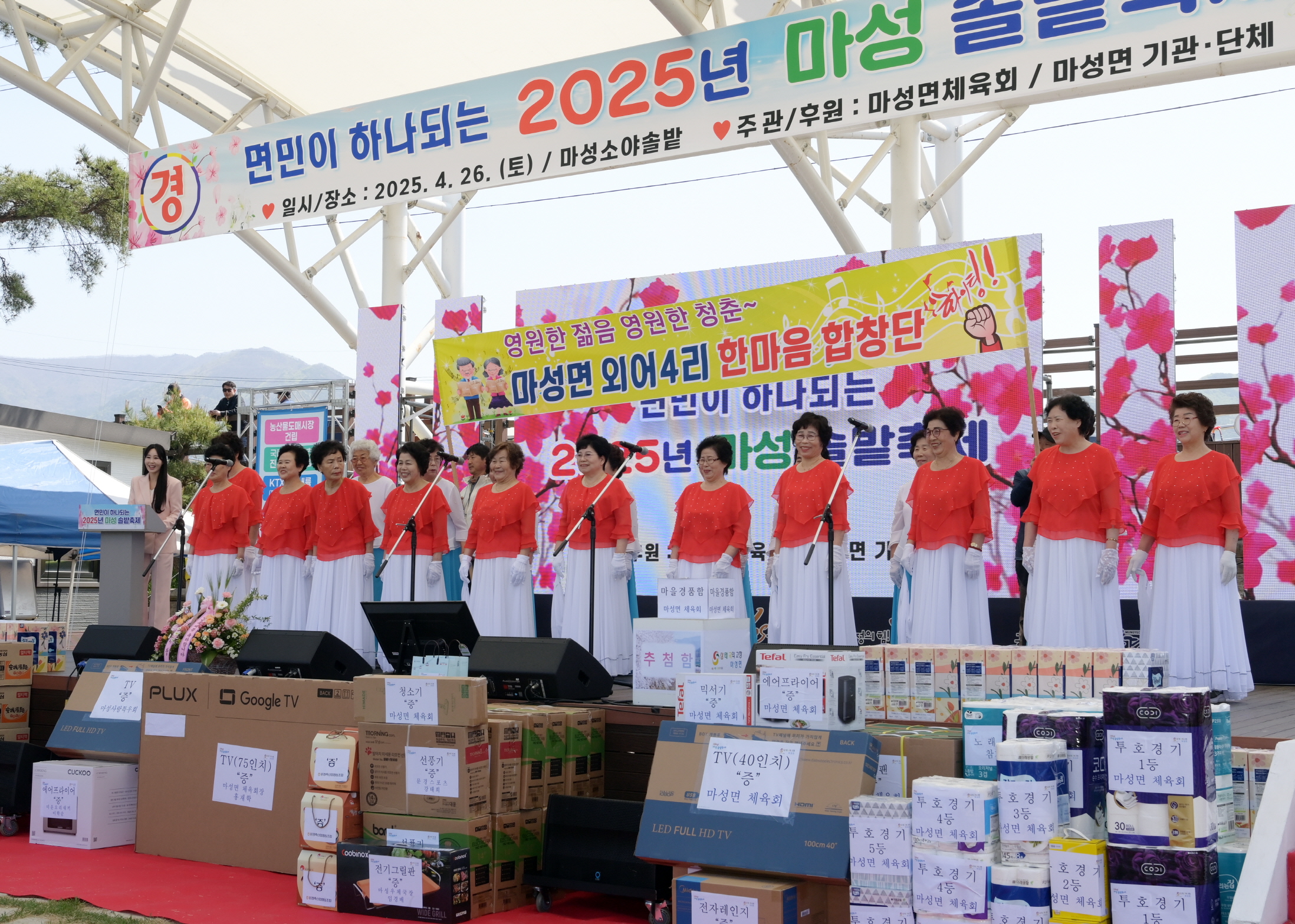 솔밭 이미지