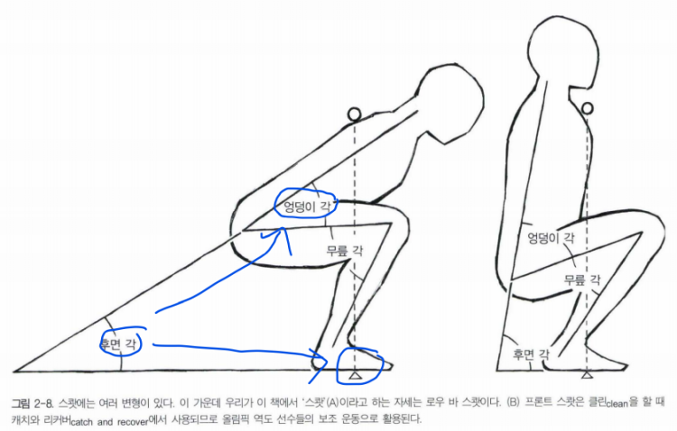 로우바스쿼트와프론트스쿼트