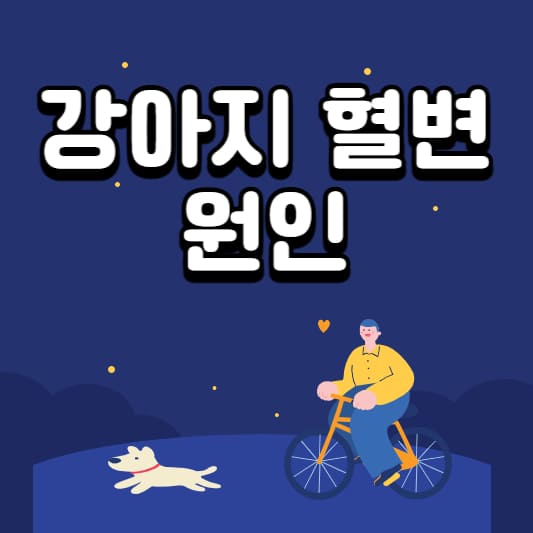 강아지-혈변-원인
강아지-피똥-원인