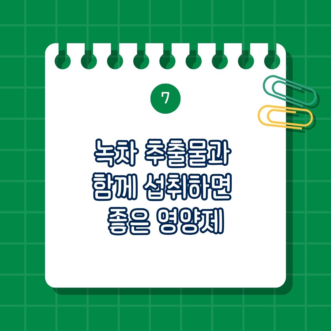 녹차 추출물 (Green Tea Extract) 과 함께 섭취하면 좋은 영양제, 함께 섭취하면 시너지 효과 나는 영양제