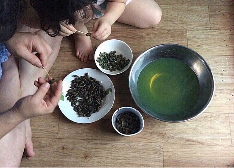  구석구석 다슬기 마실돌이