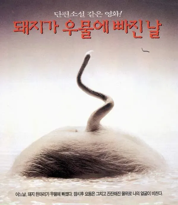돼지가 우물에 빠진 날
1996년 홍상수 감독이 연출한 한국 독립영화