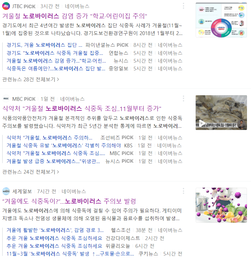  노로바이러스 장염 / 노로바이러스 식중독