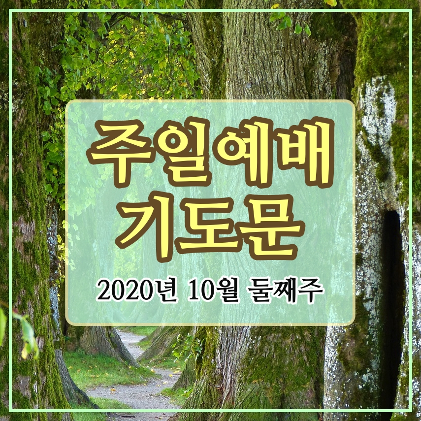  주일낮예배 대표기도문, 10월 둘째 주, 비대면 대표기도문