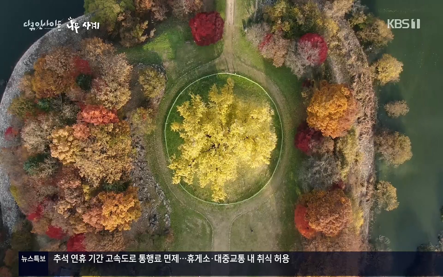 다큐 인사이트.E124.220908p.H264-F1RST.mp4_20220912_143720.735.jpg