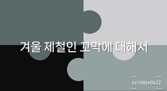 겨울 제철인 꼬막에 대해서