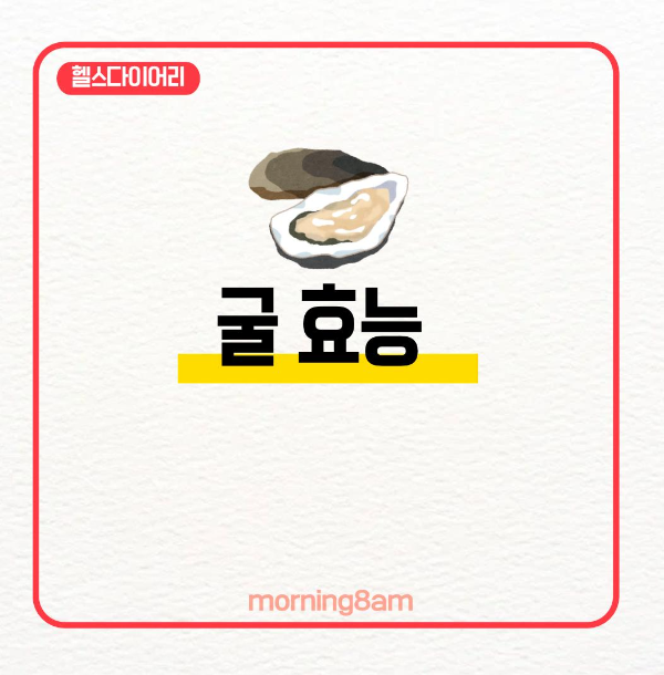 굴 효능 총정리