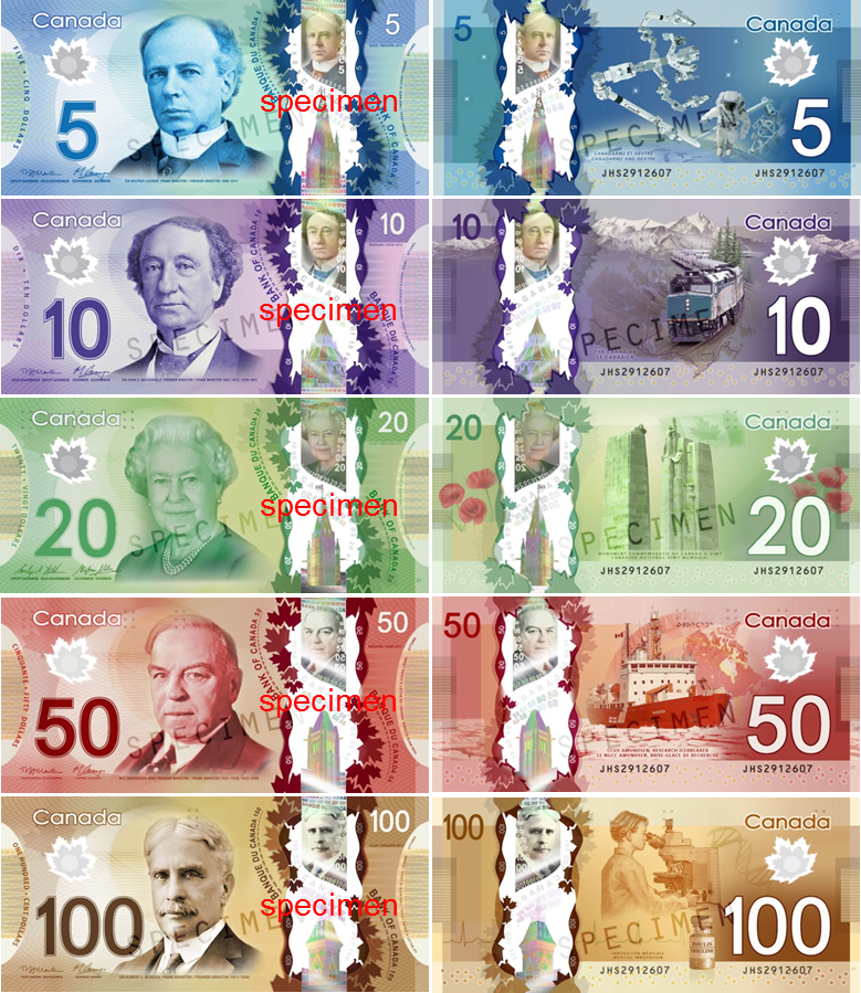 캐나다 달러 견양