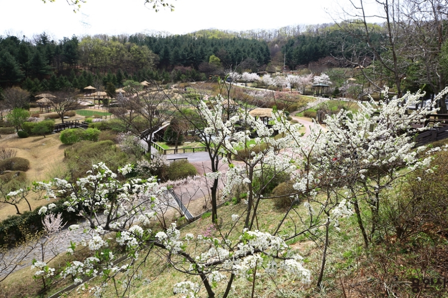 용인테마파크 2