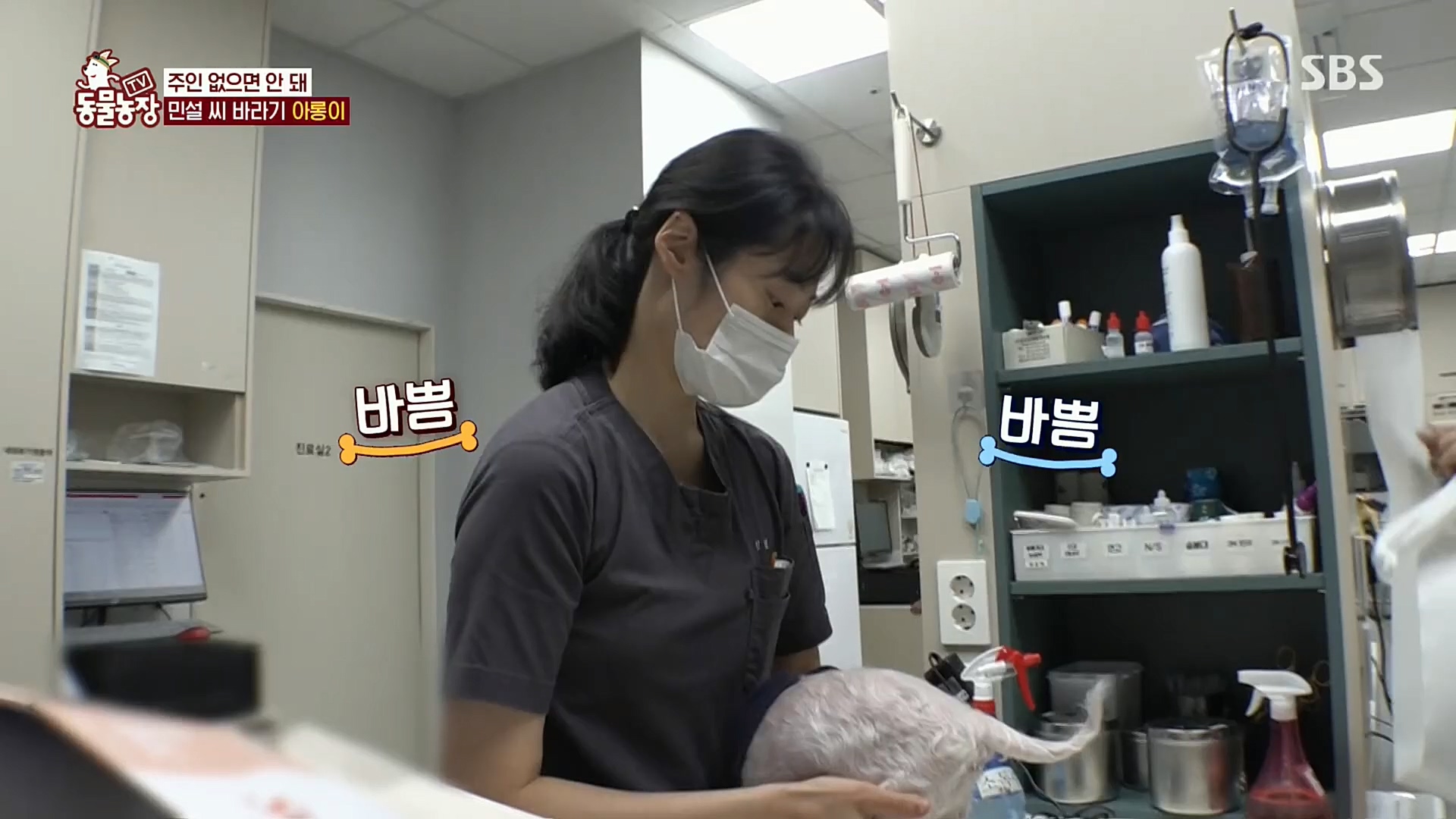 TV 동물농장.E1092.221023p.H264-F1RST.mp4_20221023_182746.150.jpg