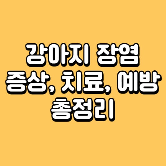 강아지 장염
강아지 파보
강아지 코로나
강아지 스트레스
강아지 세균성 장염