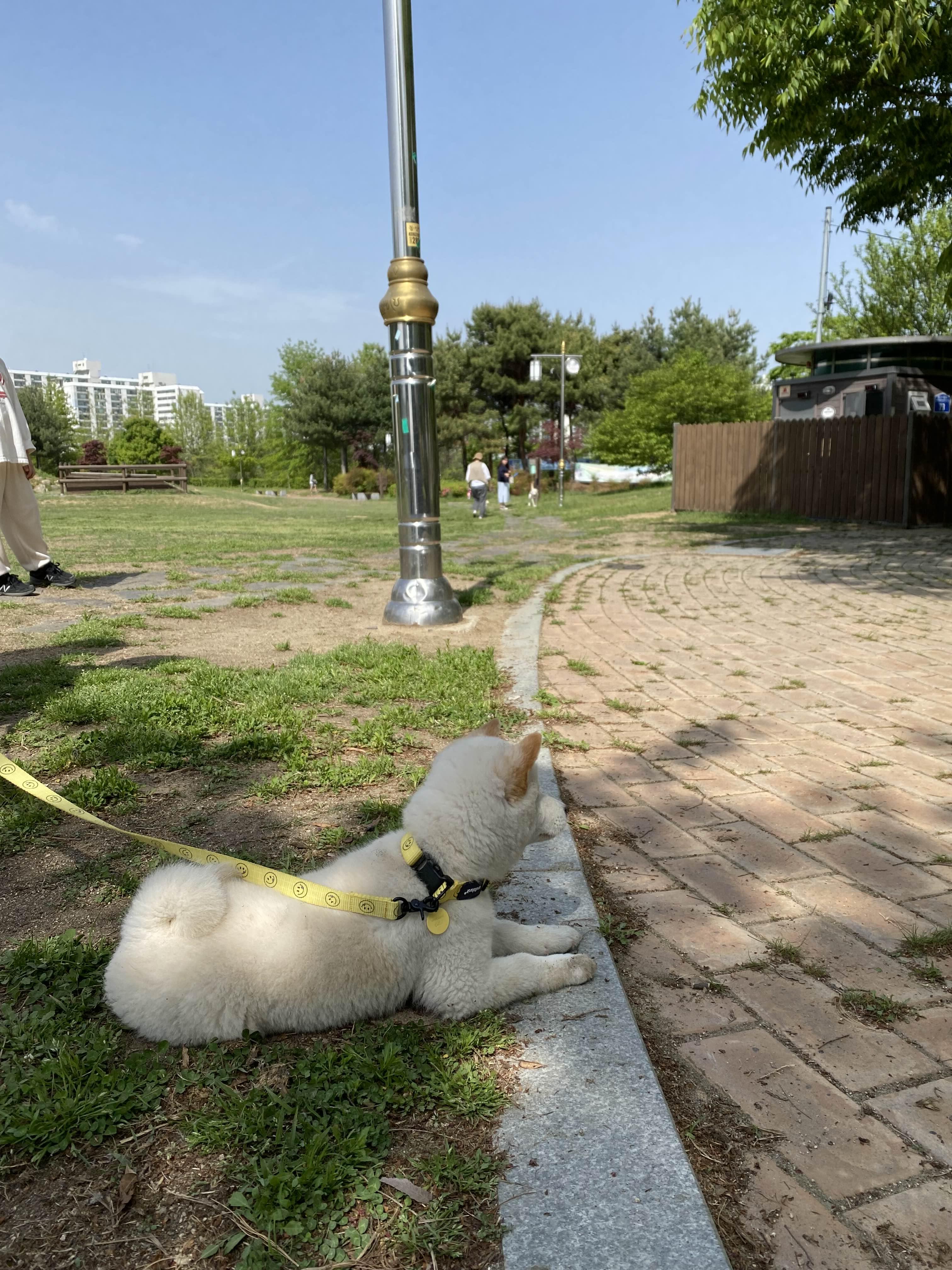 alt 태그