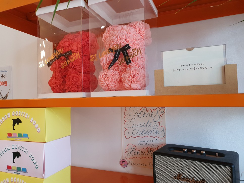 제주 전연령 렌트카 제주도 첫날 시작! 4