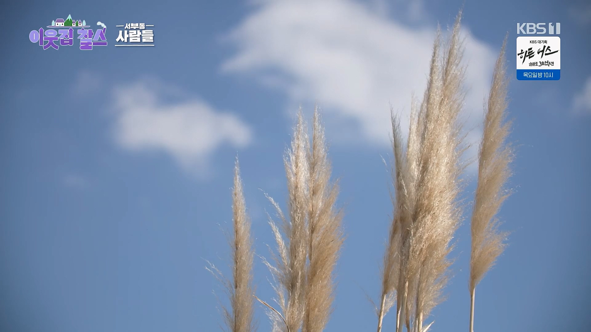 이웃집 찰스.E379.230314p.H264-F1RST.mp4_20230315_143012.054.jpg