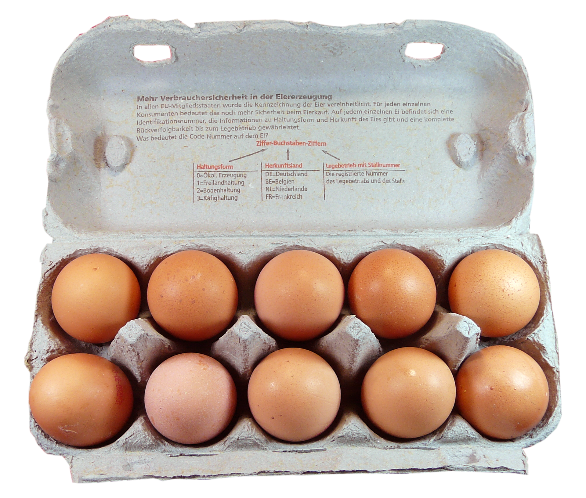 냉암소 보관 작물 &#44; 계란