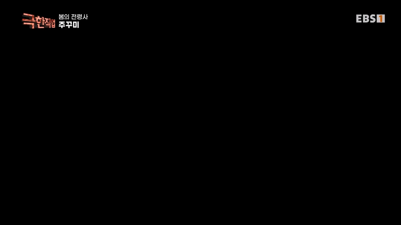 TV - 전 국민의 평생학교 EBS봄의 전령사! 새조개, 미나리, 주꾸미.mp4_20240316_171255.355.jpg