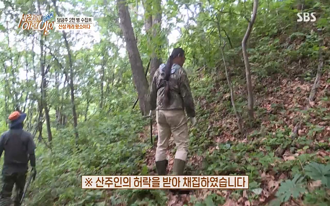 순간포착 세상에 이런일이.E1187.220706p-NEXT.mp4_20220706_202638.128.jpg