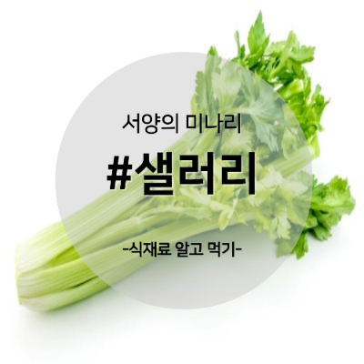 샐러리