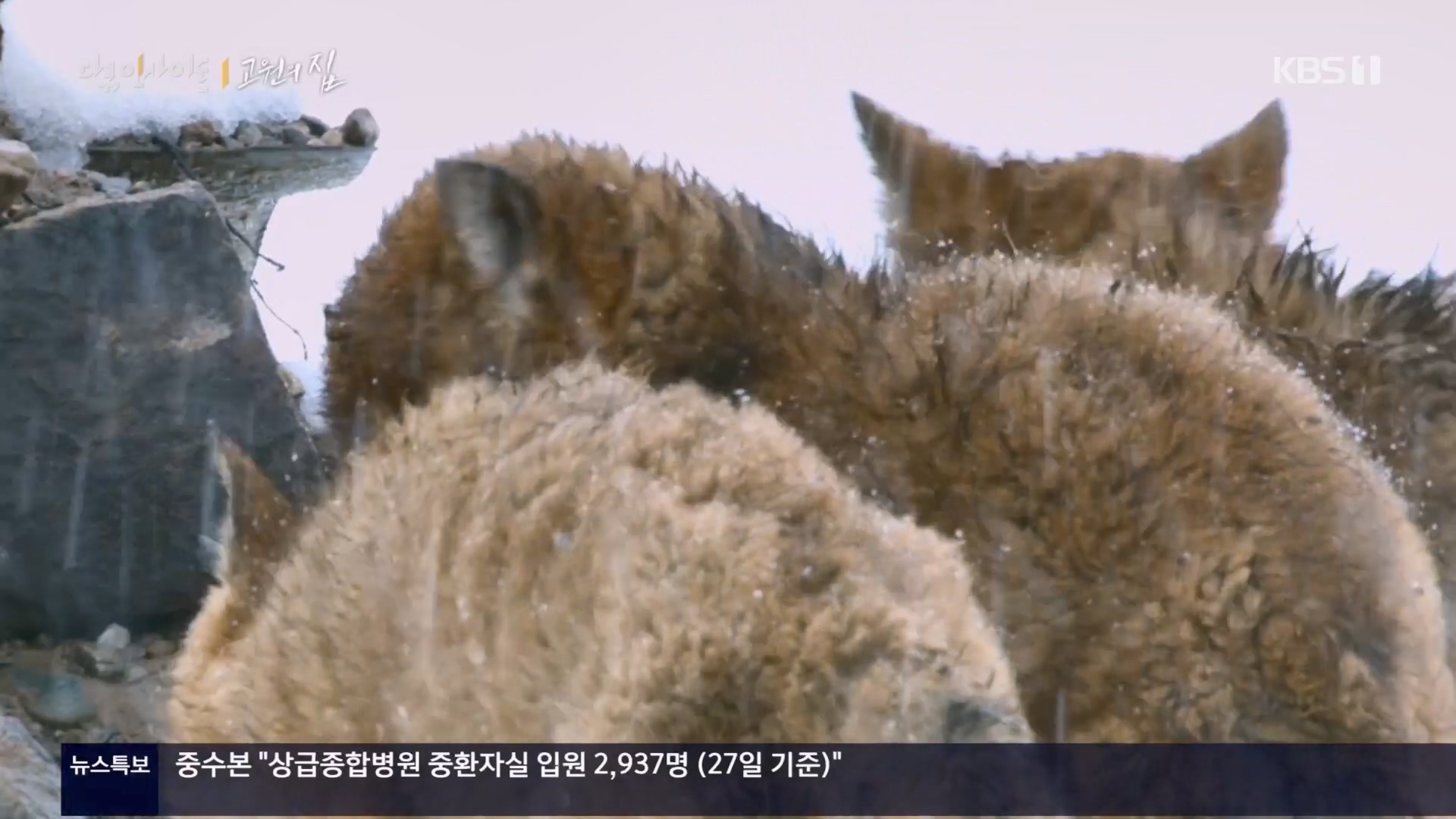 다큐 인사이트.E176.240328p.H264-F1RST.mp4_20240330_162428.306.jpg