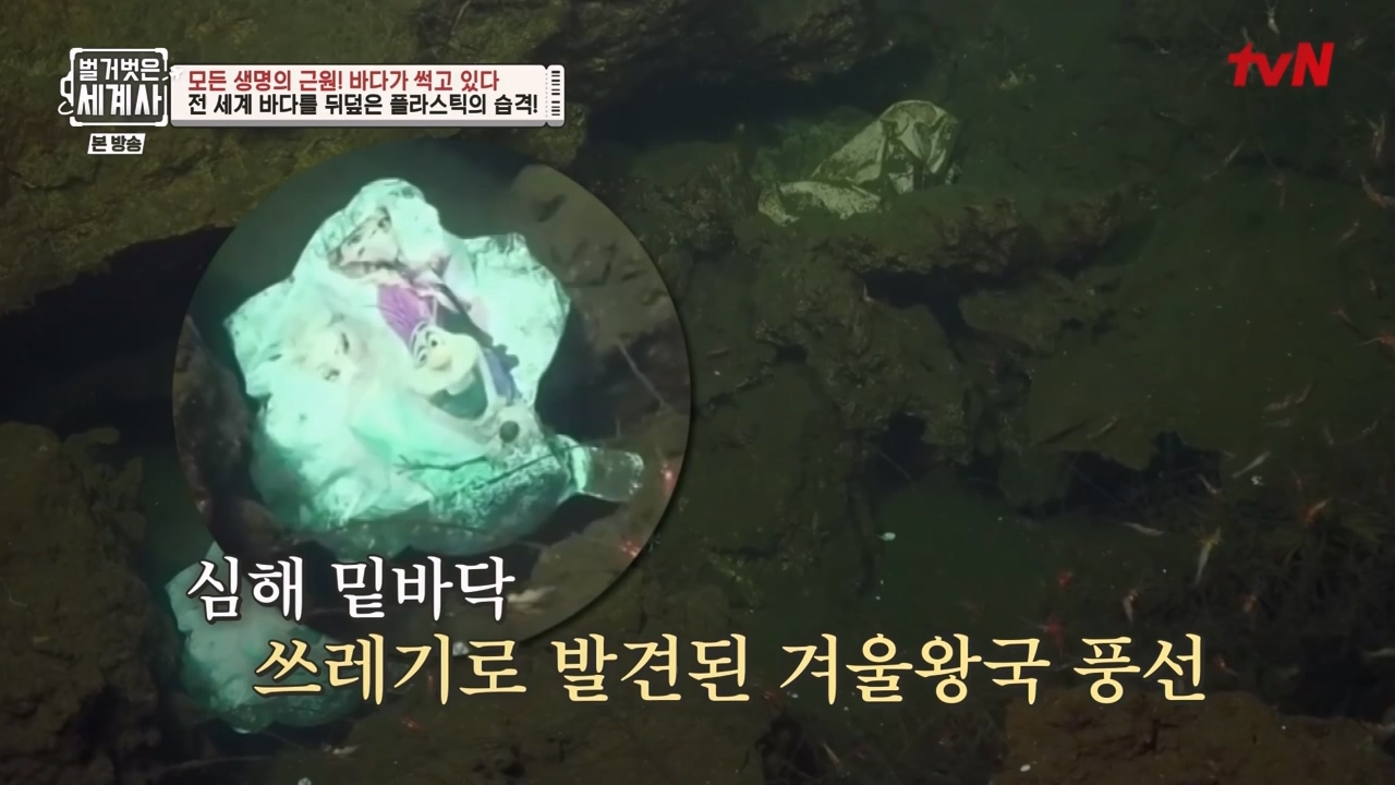 벌거벗은 세계사.E90.230315p-NEXT.mp4_20230419_212542.772.jpg