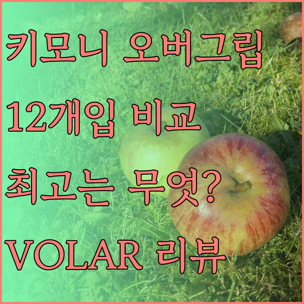 12개입 테니스 오버그립 VOLAR 