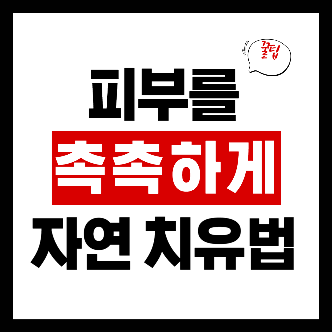 피부과 전문의가 추천하는 피부 장벽 회복법 (자연 치유법 포함)