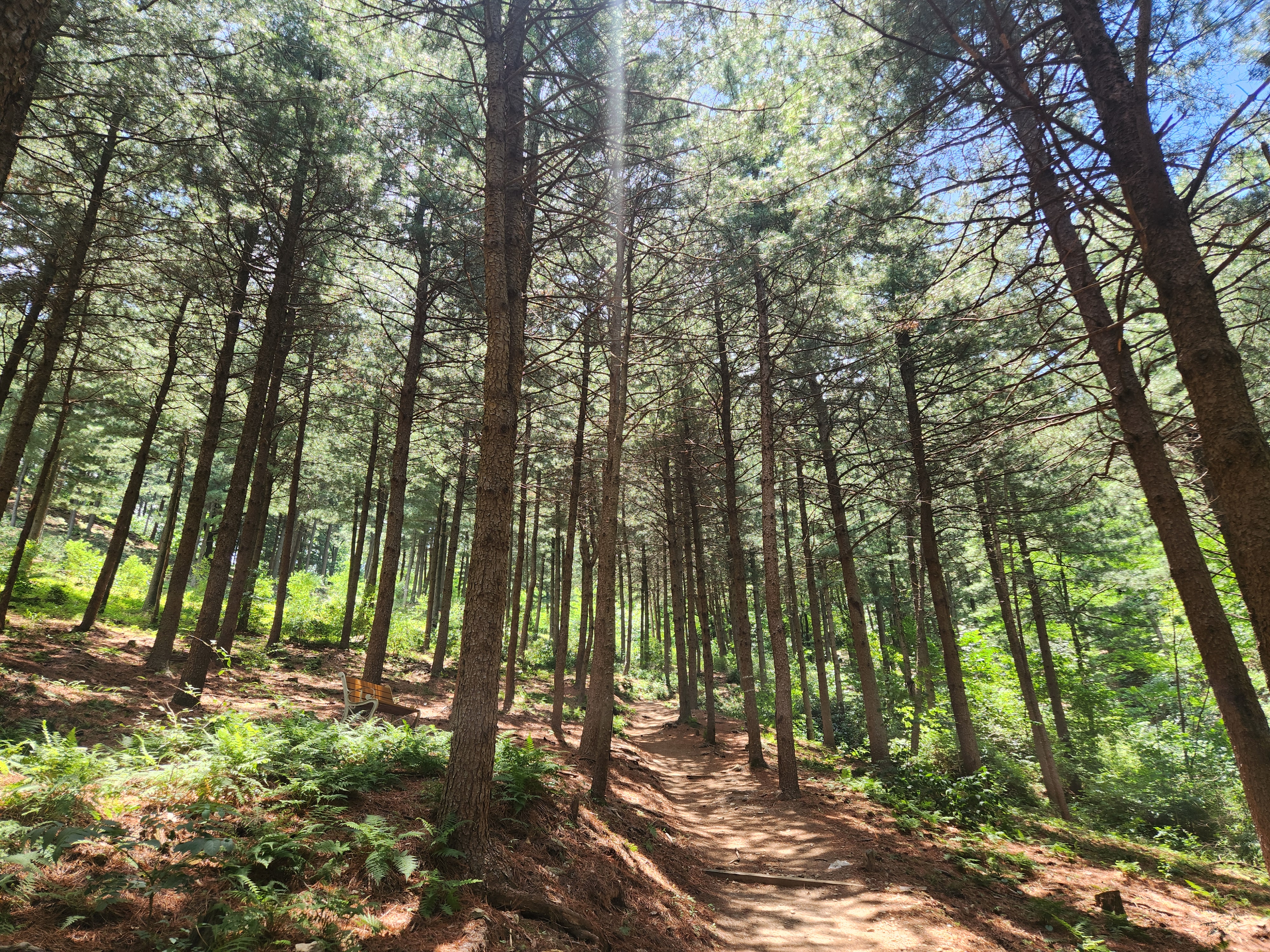 산성산 (80)