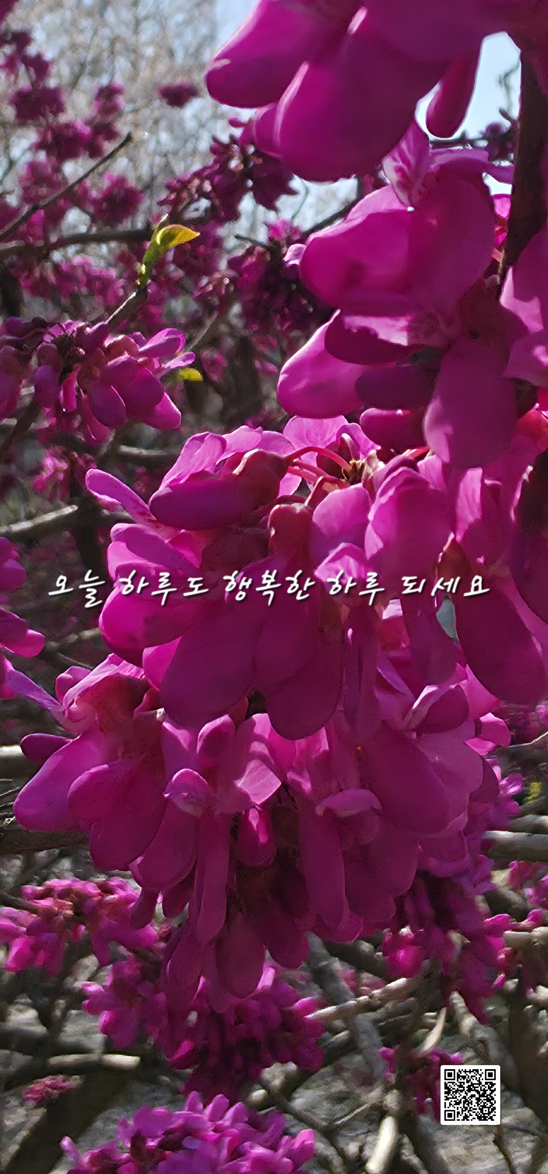 만남 이미지