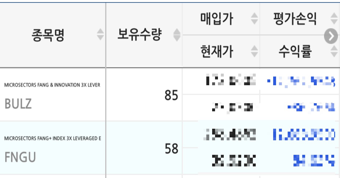 BULZ FNGU 액면병합