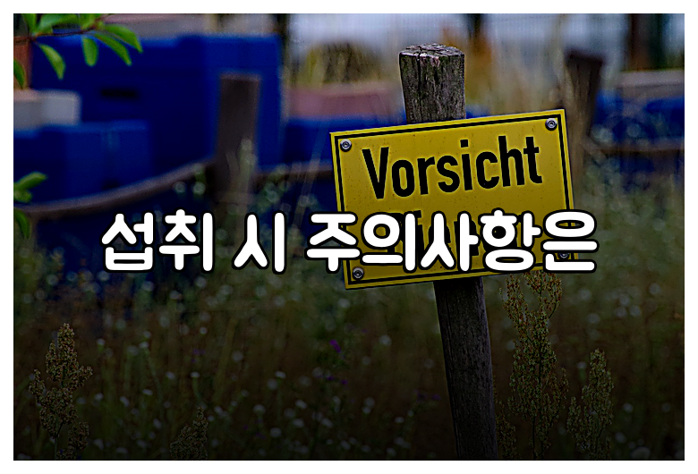 섭취 시 주의사항은