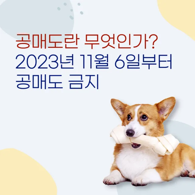  공매도란 무엇인가? - 2023년 11월 6일부터 공매도 금지