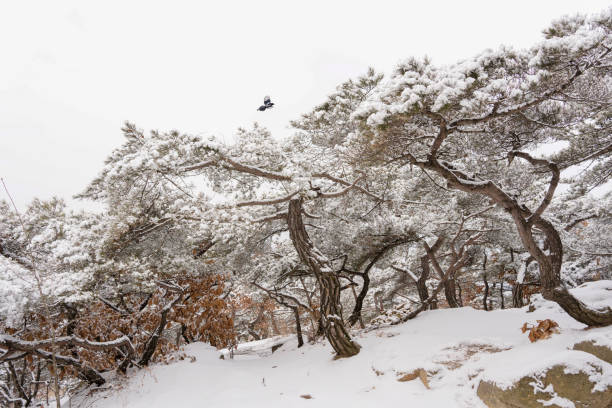 수도권 근교 캠핑장