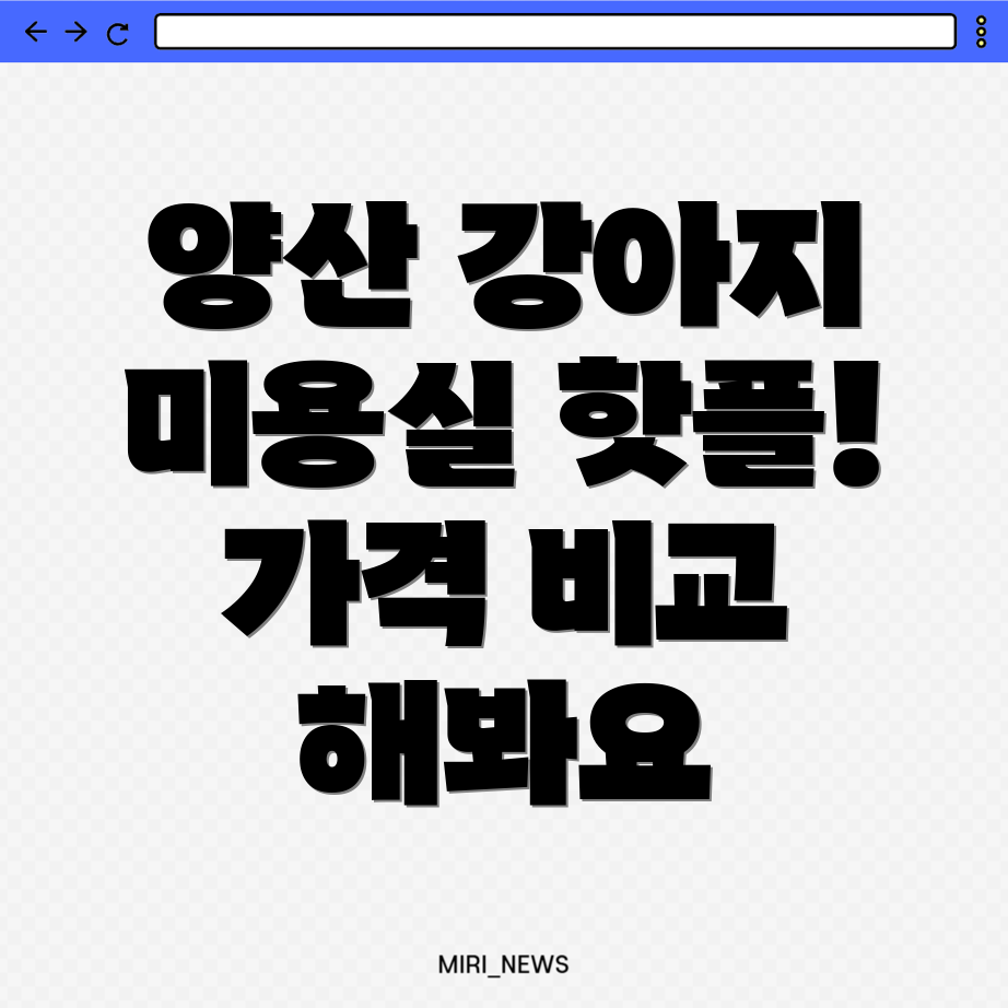 강아지 미용실
