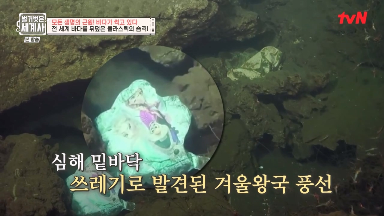 벌거벗은 세계사.E90.230315p-NEXT.mp4_20230419_204731.083.jpg