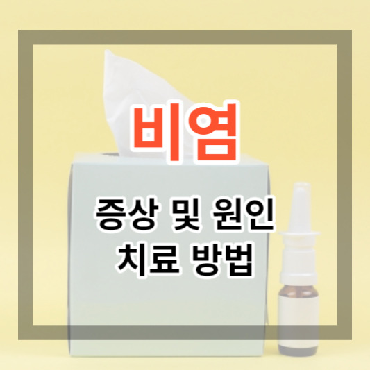  봄가을 불청객 비염 증상 및 원인과 치료 방법 알아보기