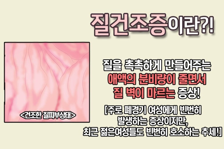 비비비 이미지