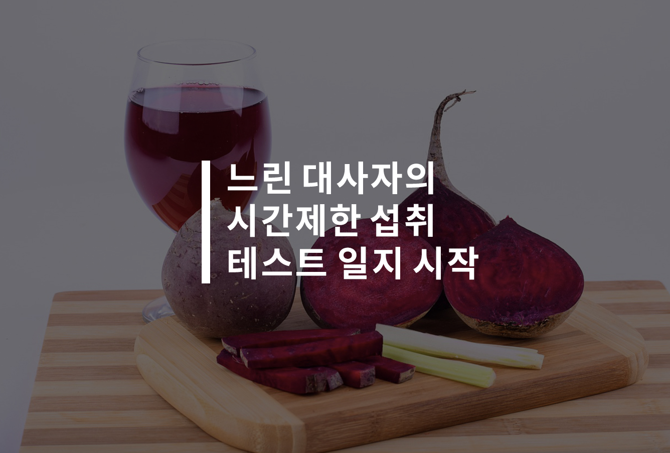 느린 대사자의 시간제한 섭취 테스트 일지를 시작합니다