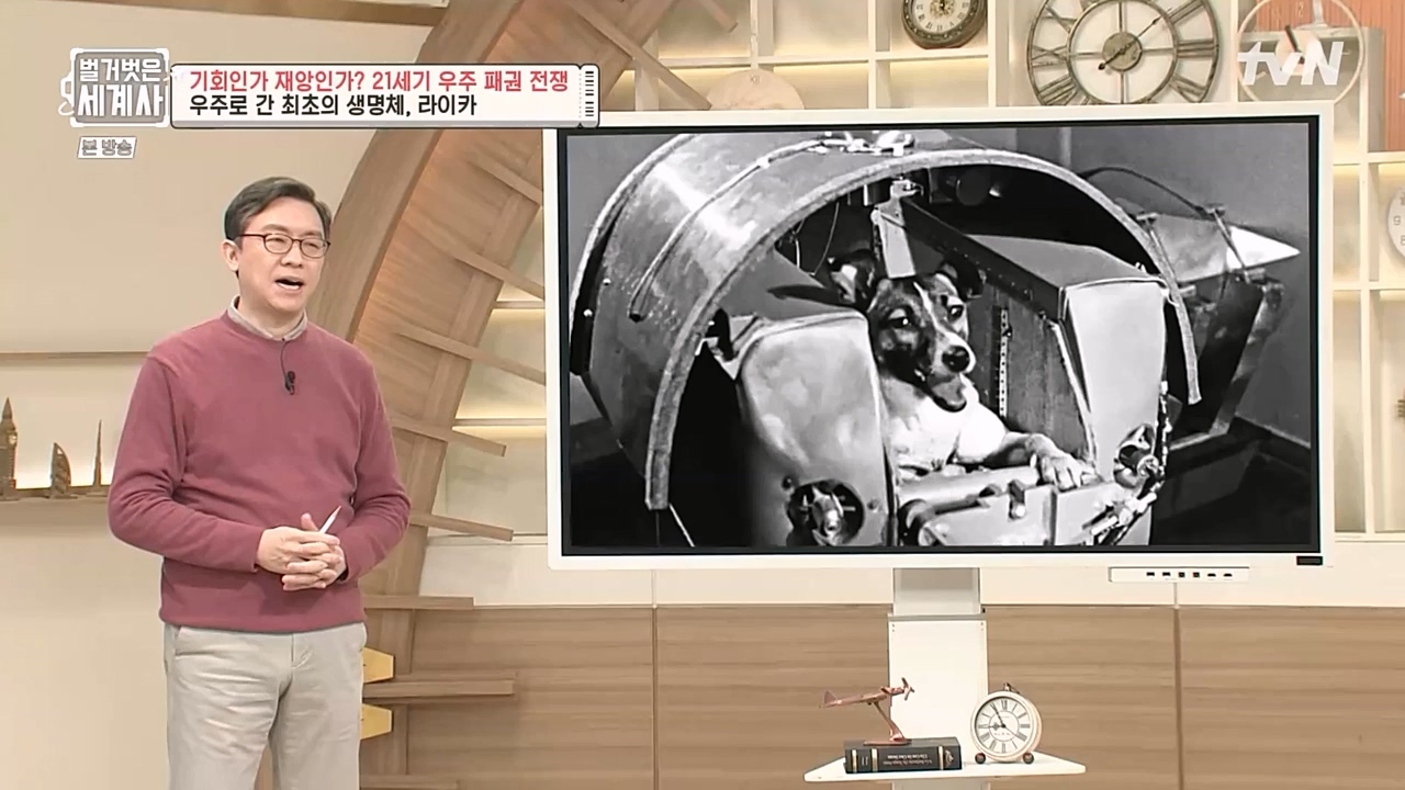 벌거벗은 세계사.E84.230132p-NEXT.mp4_20230307_202241.867.jpg