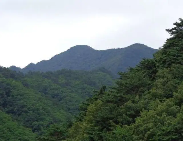 쉰움산