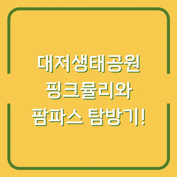 대저생태공원 핑크뮬리와 팜파스 탐방기!