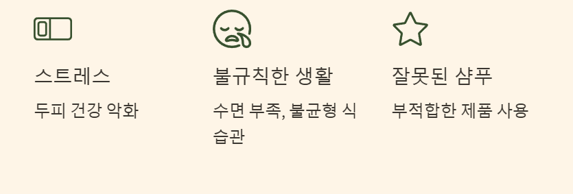 잘못된 샴푸-지루성두피염-건조한두피-피지과다분비