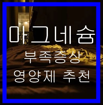 마그네슘부족증상-영양제